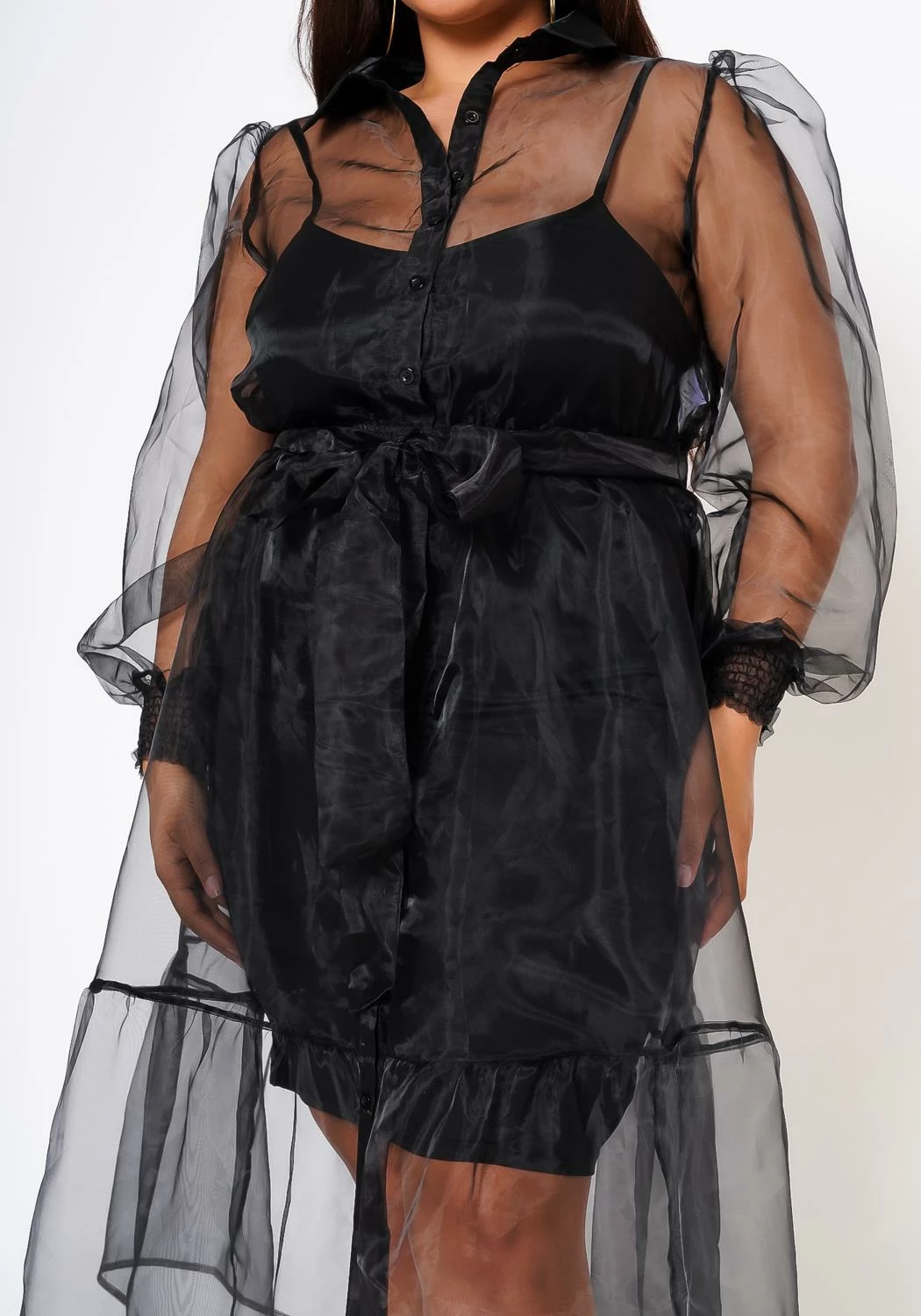 Plus Size Top Trend Sheer Button Front Fit & Flare Dress 6 Plus Size Top Trend Sheer Button Front Fit & Flare Dress - Image 6