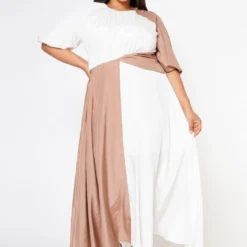 Plus Size Color Splice Fit & Flare Maxi Dress