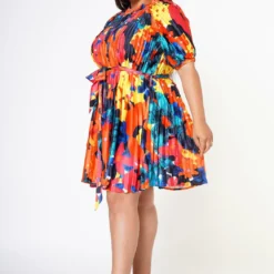 Plus Size Multi Pattern Pleated Fit & Flare Dress -Radiant Drape Sales 2022608 001 3