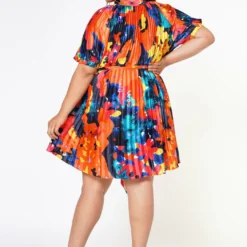 Plus Size Multi Pattern Pleated Fit & Flare Dress -Radiant Drape Sales 2022608 001 4