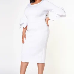 Plus Size Elegant Form Fitting Midi Dress -Radiant Drape Sales 2022614 002 3