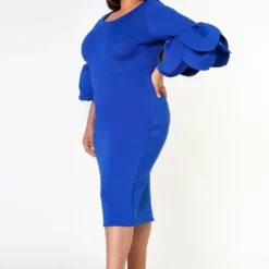 Plus Size Elegant Form Fitting Midi Dress -Radiant Drape Sales 2022614 004 3