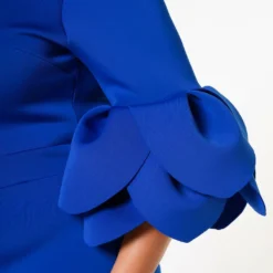 Plus Size Elegant Form Fitting Midi Dress -Radiant Drape Sales 2022614 004 5