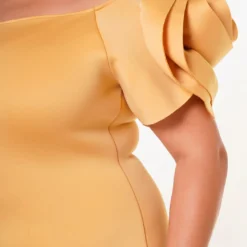 Plus Size Ruffle Flower Shoulder Midi Dress -Radiant Drape Sales 2022638 003 6