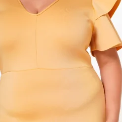 Plus Size Shoulder Flare Maxi Dress -Radiant Drape Sales 2022653 003 4