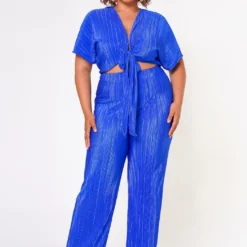 Plus Size Pleated Crop Top & Pants Set